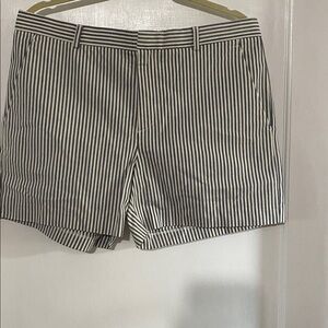 Banana Republic Navy and White Striped Garment